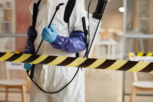 Professional Odor Removal technician working in Mystic, CT